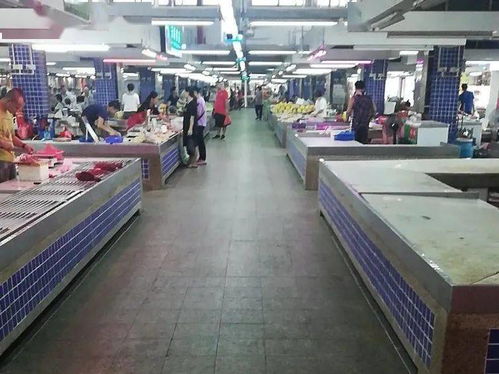 創(chuàng)新高 珠海新一期文明成績(jī)單出爐 得滿(mǎn)分的是