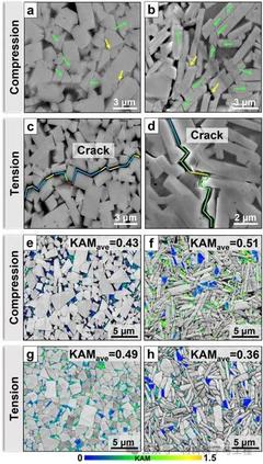 北京工業(yè)大學研究揭示硬質(zhì)相晶粒形態(tài)對應力應變分布和力學性能的關(guān)鍵影響